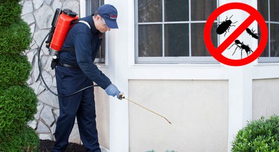 Kumluca Tahtakurusu İlaçlama böcek ilaçlama ve haşere kontrolü — ilaclama-tr.com